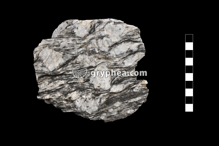 Gneiss oeillé - échantillon - gryphea.com